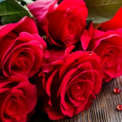The Science Behind Everlasting Roses: How They Last for Years